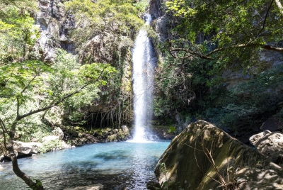 La Cangreja Waterfall Ricron NP 2024